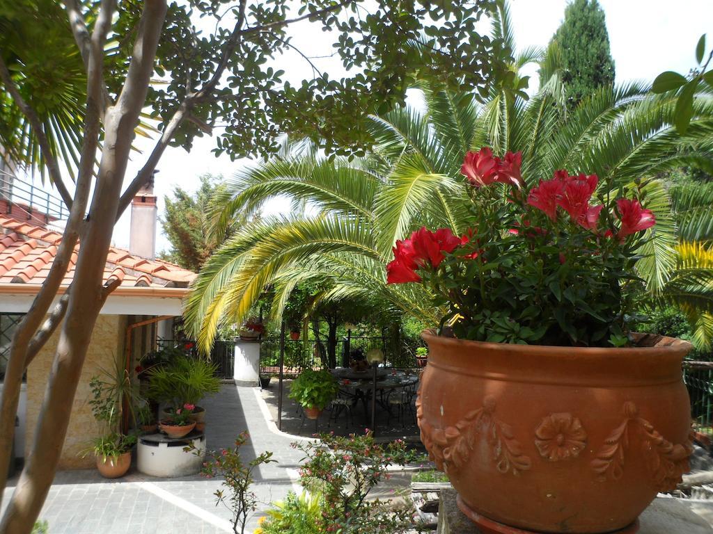 Bed And Breakfast El Dueno Палинуро Екстериор снимка